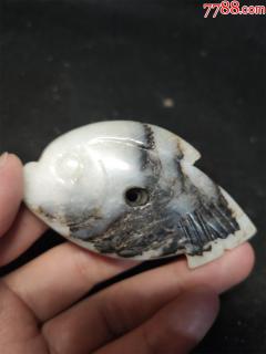 黑皮玉鱼_和田玉_大华堂【7788收藏__收藏热线】